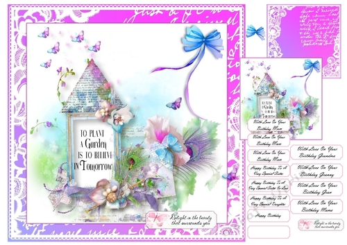 Flowers and Butterflies Believe In Tomorrow
