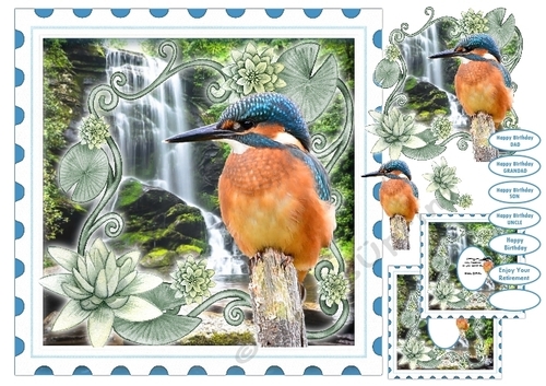 Kingfisher and Waterfall Birthday/Retirement