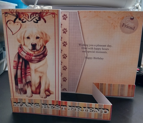 Z Fold Mans Best Friend 
