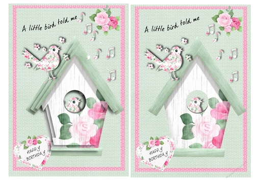 A little bird told me