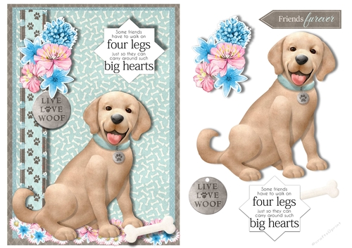 Dogs Have Big Hearts