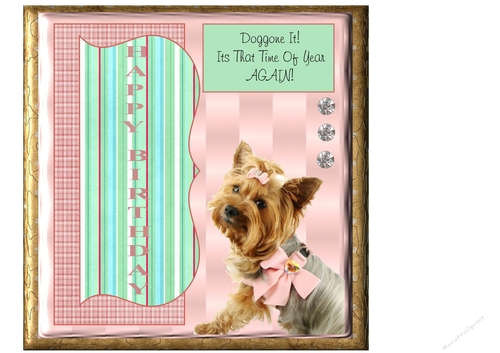 Doggone It Yorkshire Terrier
