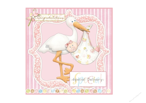 Special Delivery Stork Baby Girl
