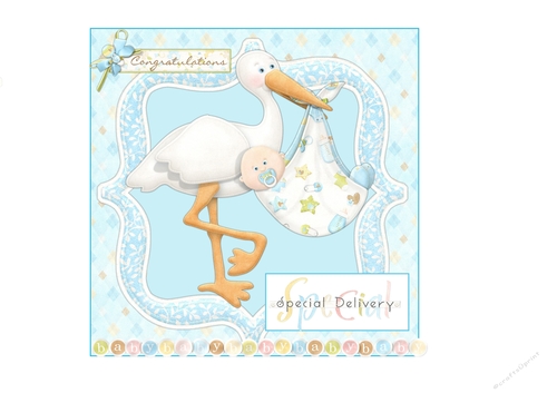 Special Delivery Stork Baby Boy