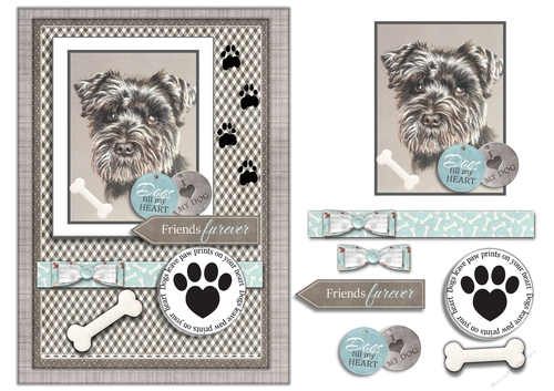 Dogs Leave Paw Prints On Our Hearts