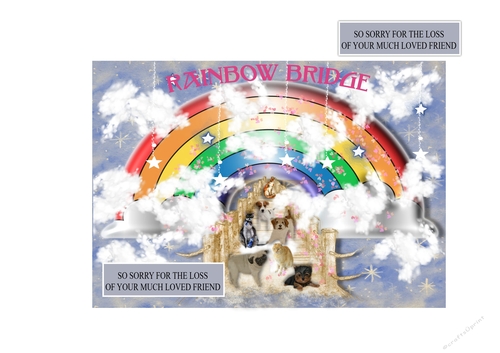 Rainbow Bridge For The Loss Of Your Pet