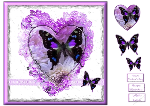 Butterfly in a Lilac Floral Lacey Frame