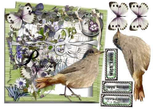 Countryside Bird Birthday/Fathers Day