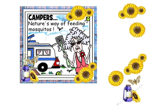 Campers Are Natures Way Of Feeding Mosquitoes