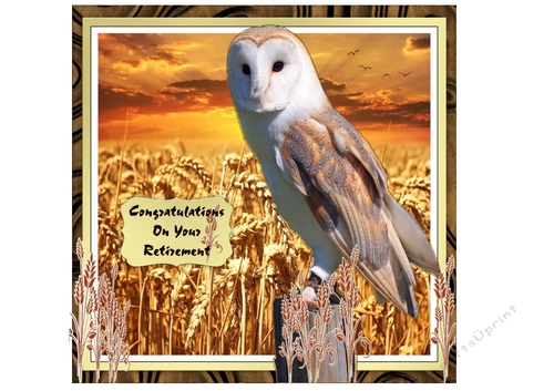 Barn Owl at Dusk Fathers Day/Retirement/Birthday