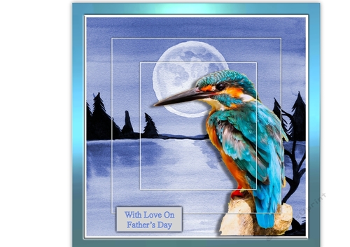 Kingfisher In The Moonlight Birthday/Fathers Day/Retirement