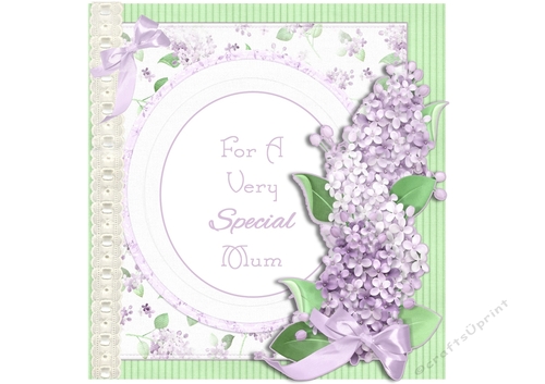 Lovely Lilac Flowers