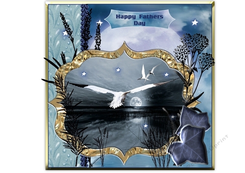 Silent Night Flight Fathers Day/Birthday