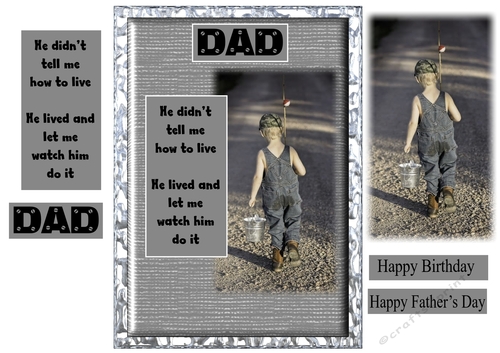 Dad Didnt Tell Me How To Live Birthday/Fathers Day