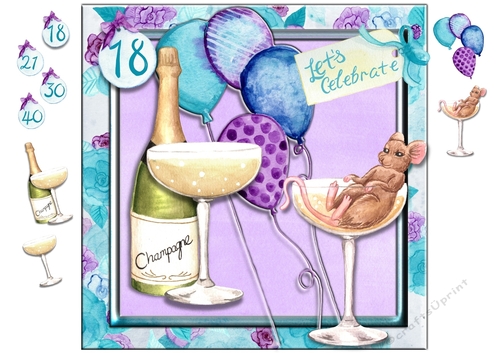Mousey Big Birthday Celebration 18,21,30,40