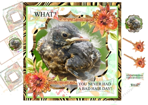 Bad Hair Day
