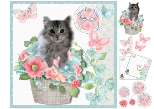 Cute Kitten In A Flower Basket