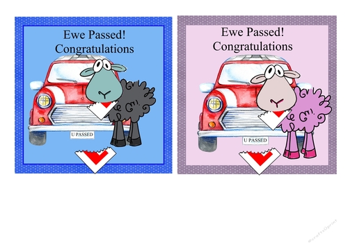 Ewe Passed Male and Female Cards