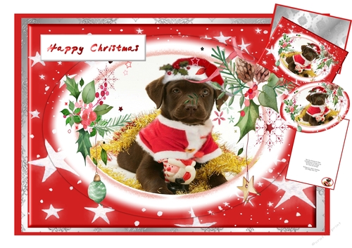 Chocolate Labrador Ready For Christmas