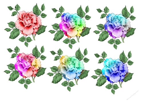Roses Multicoloured CU4CU