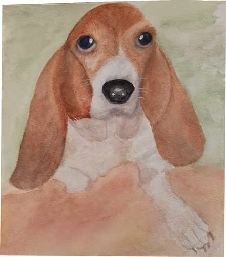 Bloodhound Pup CU4CU OK