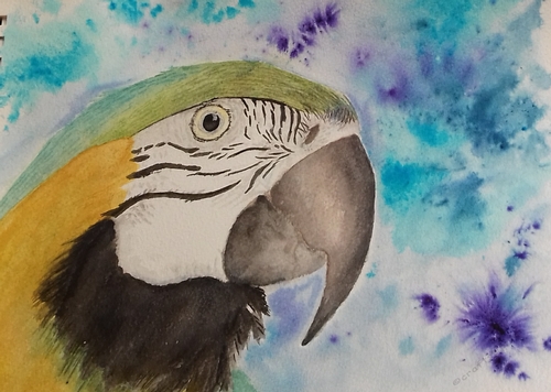 Pretty Polly Original Watercolour CU4CU OK