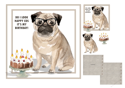 Do I Look Happy Cos Its My Birthday!