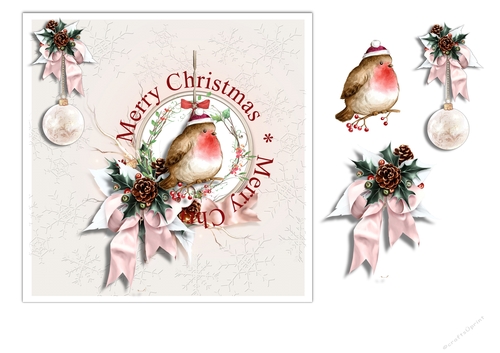 Robin In The Round Centre Embossed Effect Card