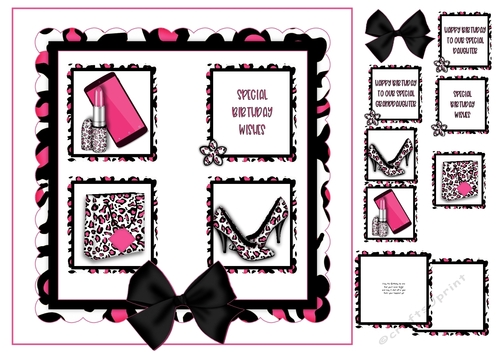 Pink & Black Leopard Print Shoes and Handbag