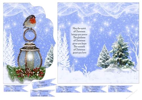 Christmas Lantern and Robin In Snow