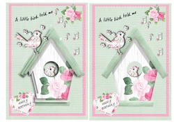 A little bird told me