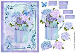Hydrangea Hue
