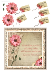 Pink Daisy Little Moments