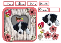 Border Collie Heart