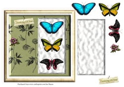 Butterfly Magic