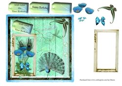 Peacock Summer