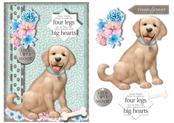 Dogs Have Big Hearts