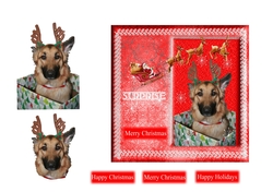 Doggy Christmas Surprise