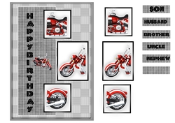 Bike Snips