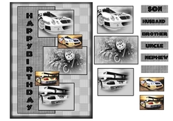 Car Snips