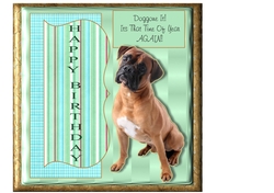 Doggone It Boxer Dog