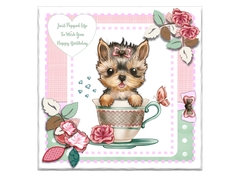 Yorkshire Terrier in a Teacup