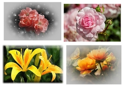 Assorted Flower Toppers 1