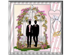 Groom & Groom Congratulations