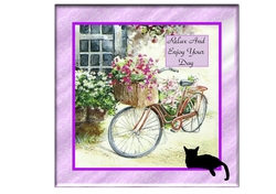 Vintage Bicycle and Flower Basket