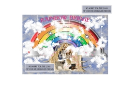 Rainbow Bridge For The Loss Of Your Pet