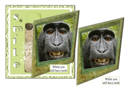 Smile ....while you still have teeth