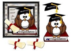 Graduation  Congratulations Owl