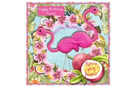 Pretty Flamingo