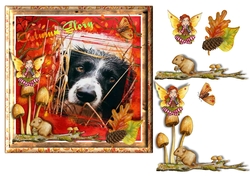 Autumn Glory